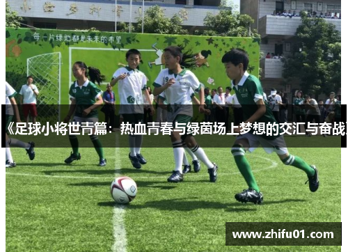 《足球小将世青篇：热血青春与绿茵场上梦想的交汇与奋战》
