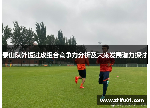 泰山队外援进攻组合竞争力分析及未来发展潜力探讨
