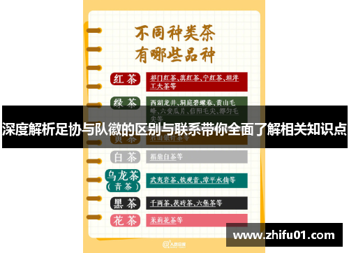 深度解析足协与队徽的区别与联系带你全面了解相关知识点