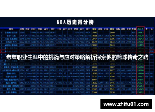 老詹职业生涯中的挑战与应对策略解析探索他的篮球传奇之路