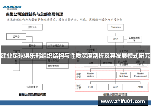 建业足球俱乐部组织结构与性质深度剖析及其发展模式研究
