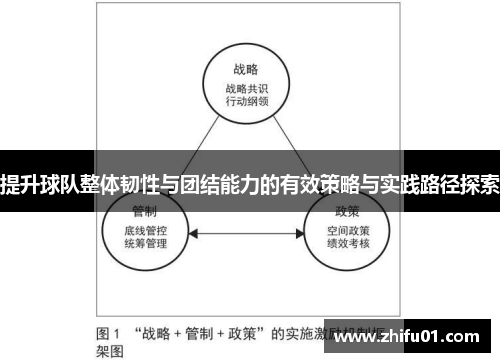 提升球队整体韧性与团结能力的有效策略与实践路径探索