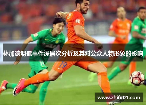 林加德调侃事件深层次分析及其对公众人物形象的影响